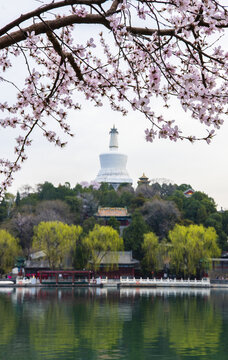 北京北海春色