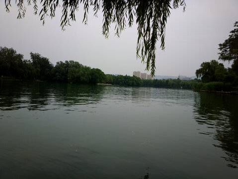 大明湖