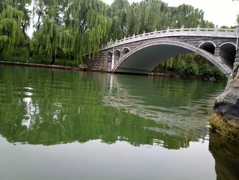 大明湖