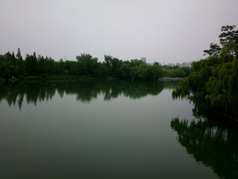 大明湖