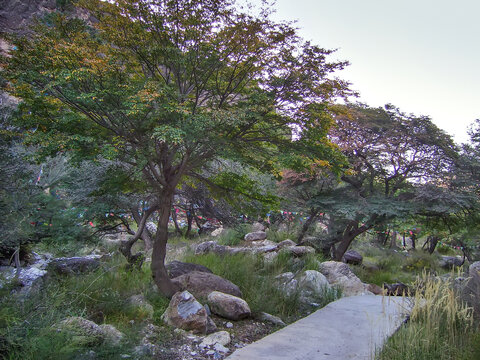 贺兰山南寺生态旅游区