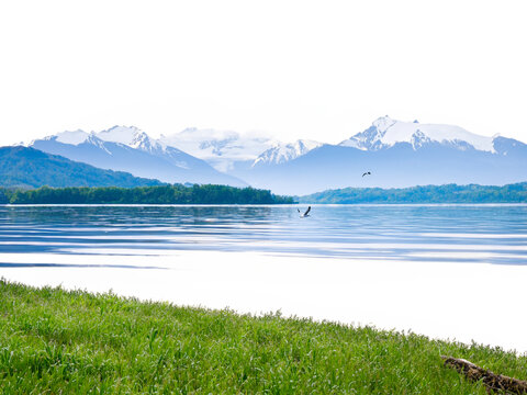 雪山河流草地