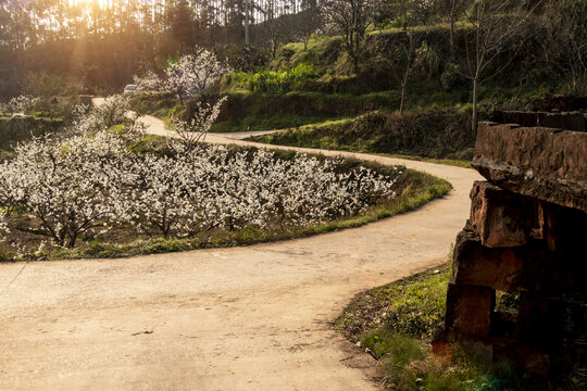 山村道路