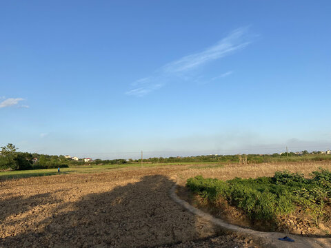 乡村田野