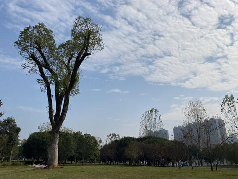 公园游玩