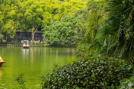 园林水景