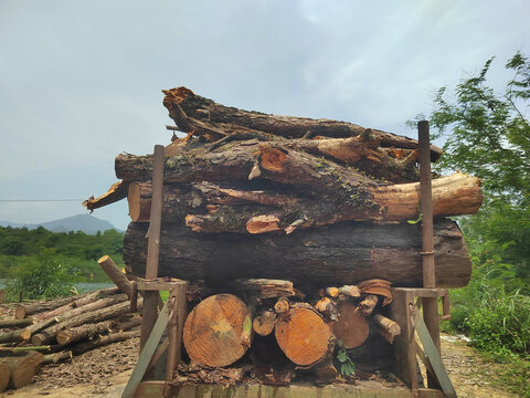 木业劳动