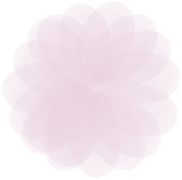 薄纱笔刷粉色花朵插画