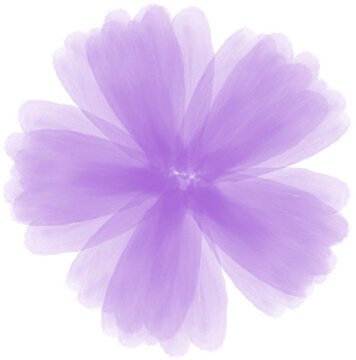薄纱笔刷紫色花朵插画