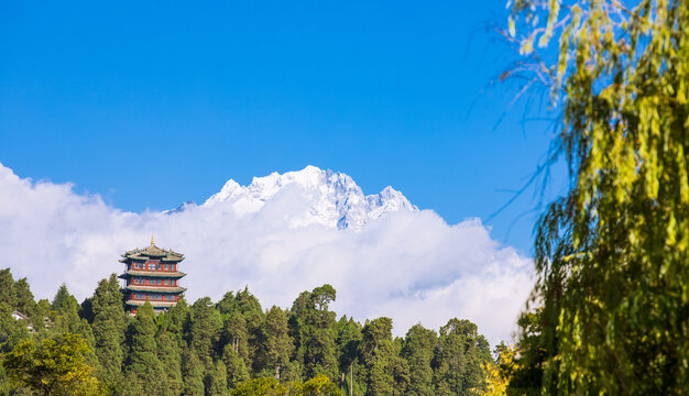 丽江古城玉泉公园5A级景区