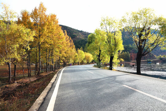 丽江泸沽湖秋景