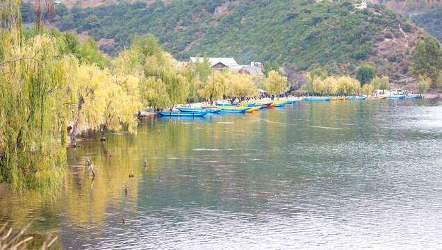 丽江泸沽湖秋景