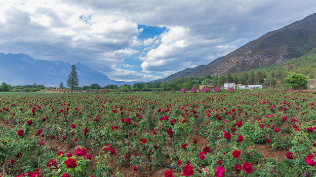 丽江百花园听花谷景区