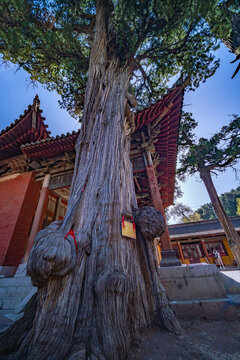 陵川西溪二仙庙