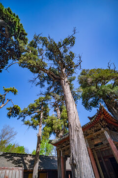 陵川西溪二仙庙