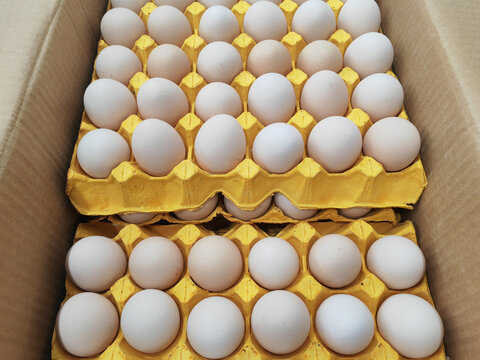 超市里面摆放的鸡蛋