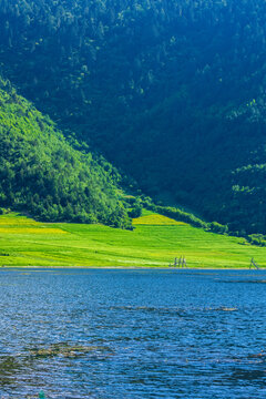 香格里拉纳帕海景区草原风光