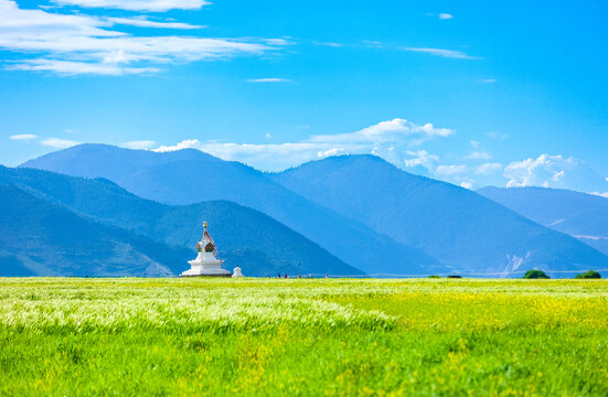 香格里拉伊拉草原纳帕海景区