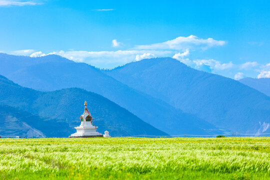 香格里拉伊拉草原纳帕海景区