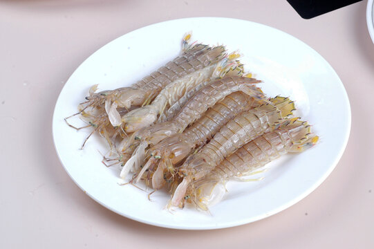 琵琶虾虾爬子