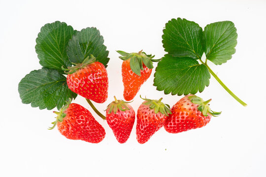 春季水果草莓
