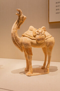 唐朝陶彩绘骆驼A01