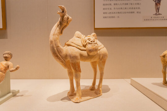 唐朝陶彩绘骆驼A02