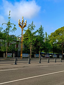 公路隔离栏莲花路灯