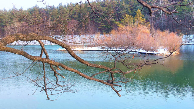 湖边景色