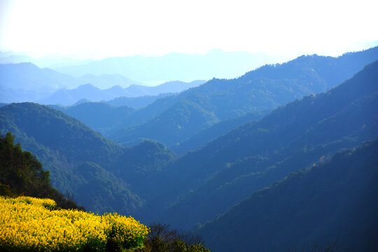 查平坦风景