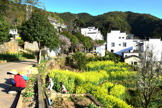 查平坦村落