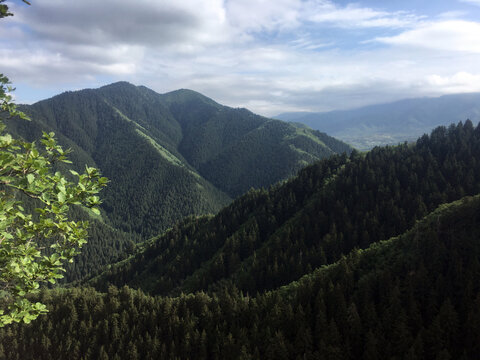 山顶风景