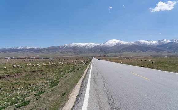 公路雪山草原