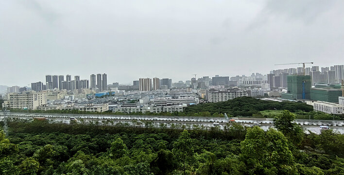 大雁山俯视