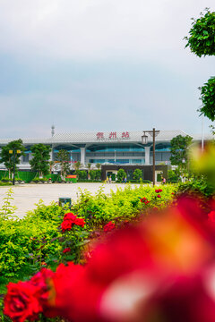 广西贺州站玫瑰鲜花前景