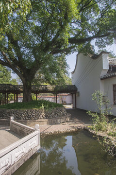 塔山三元祠后院