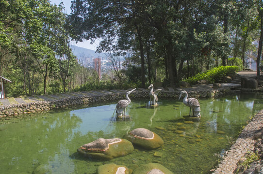 中式园林水池景观