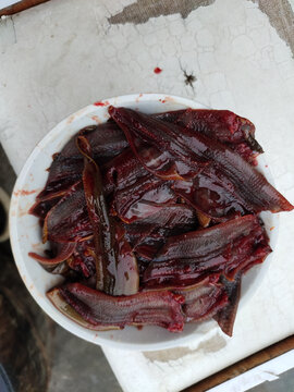 黄鳝肉