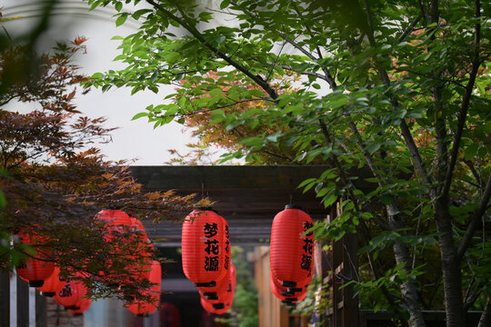 日式庭院