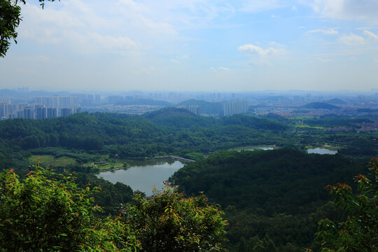 山顶俯瞰