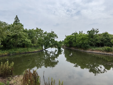 江南水乡新农村风光