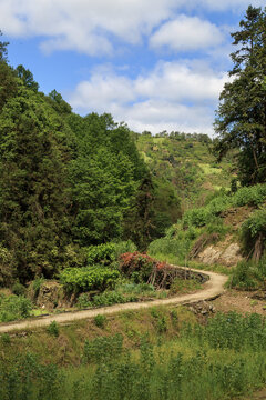 弯弯山路