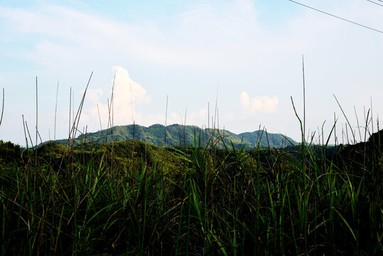 大山