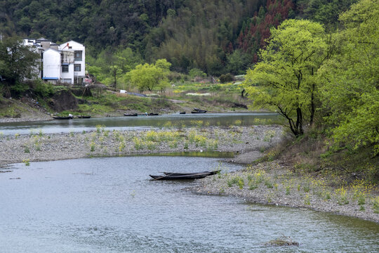 野渡