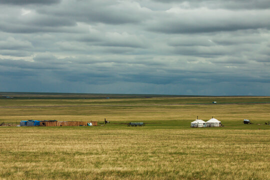 草原春季牧场蒙古包