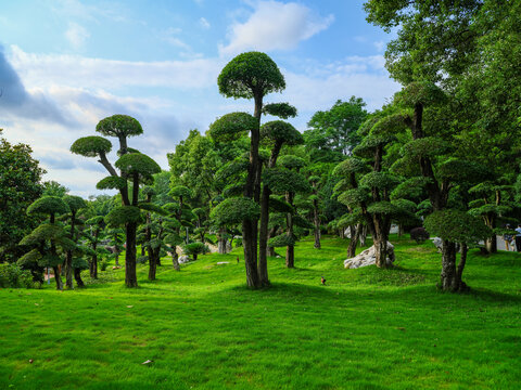 京山对接白蜡