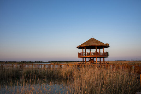 山东东营黄河口生态旅游区湿地