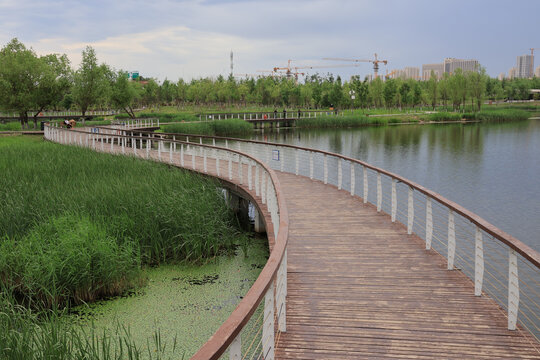 长春南溪湿地公园