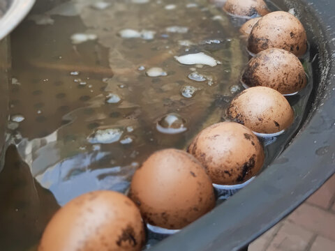 大锅煮鸡蛋