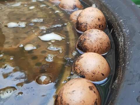 大锅煮鸡蛋